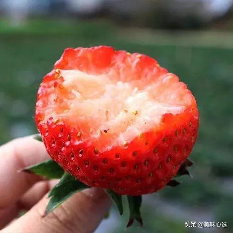 女子花巨款装草莓惊动店主，近三十斤草莓背后的故事