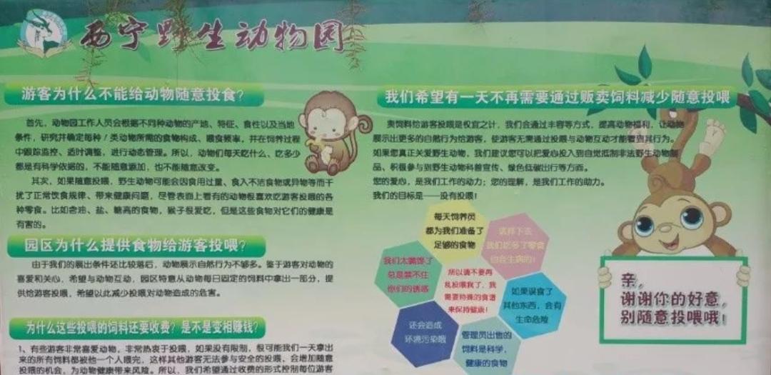 建设动物园的好处，无限放大的生态价值与文化魅力