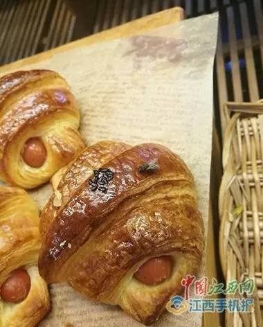 好利来面包苍蝇乱飞事件深度解析