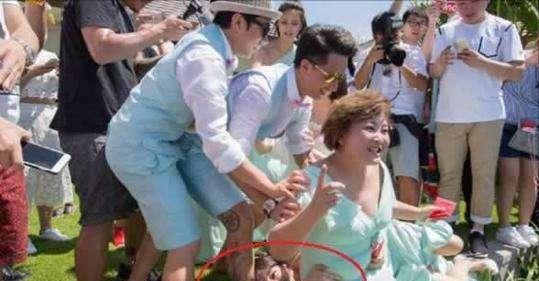 柳岩落水道歉事件，深度解读与反思