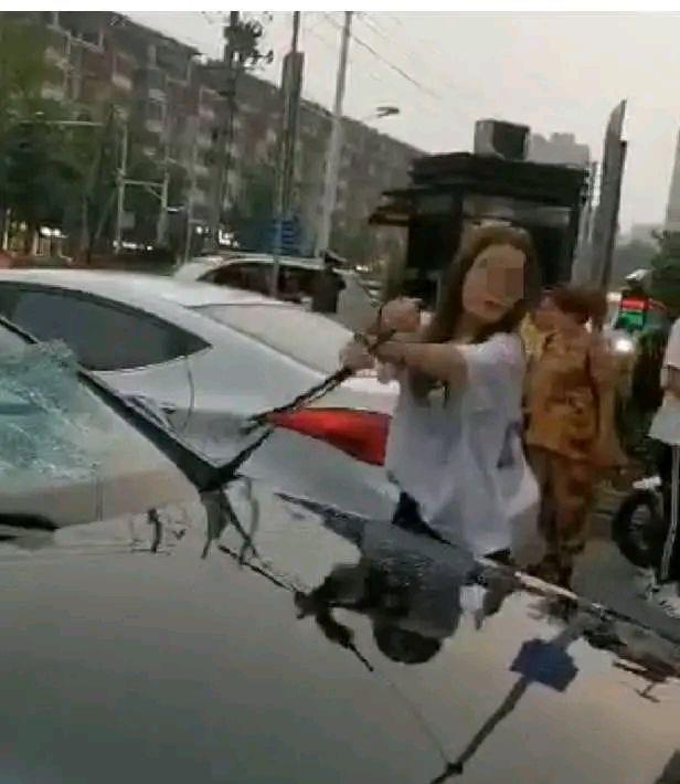女子持械当街打砸多辆轿车事件分析