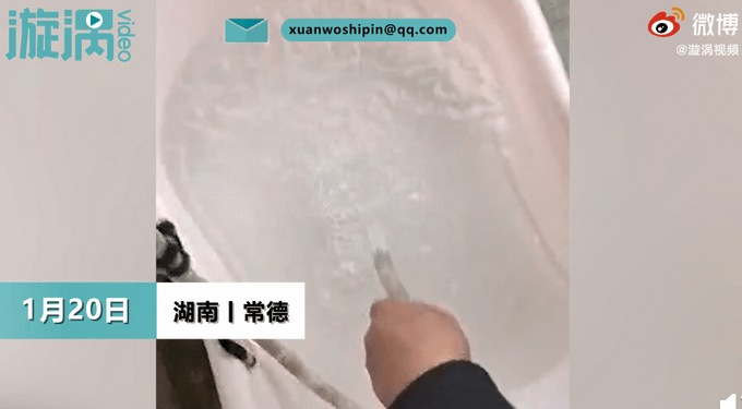 自来水惊现活虫，原因、影响与解决方案