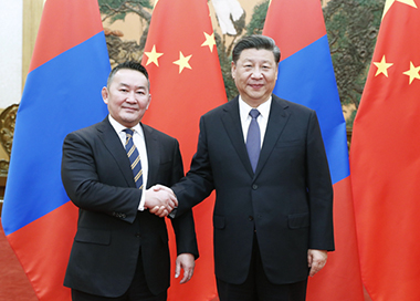 蒙古国总统霸气出场，权力与荣耀的展现