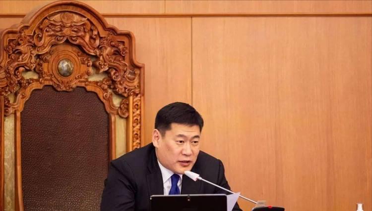 蒙古国新任总统简历概览