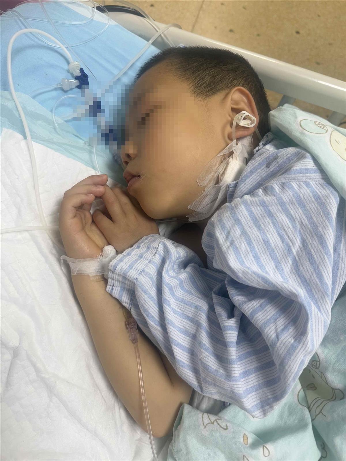 男童吃毒蘑菇去世，悲剧背后的警示与反思