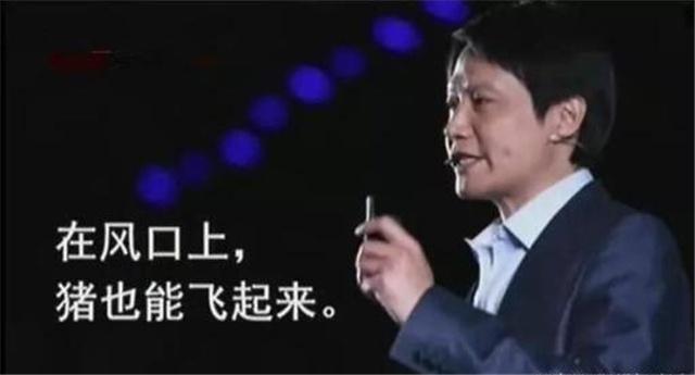 雷军会说什么的深度解析
