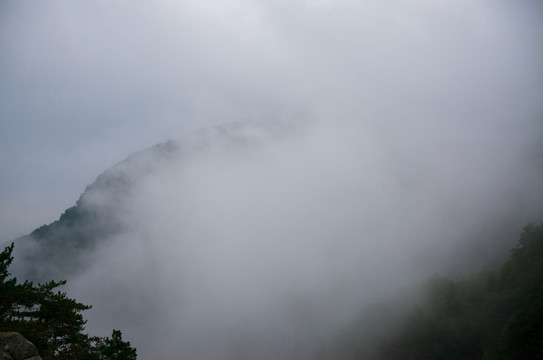 庐山的雾，神秘面纱下的壮丽景色
