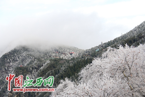 庐山雾凇，童话世界的奇幻之旅