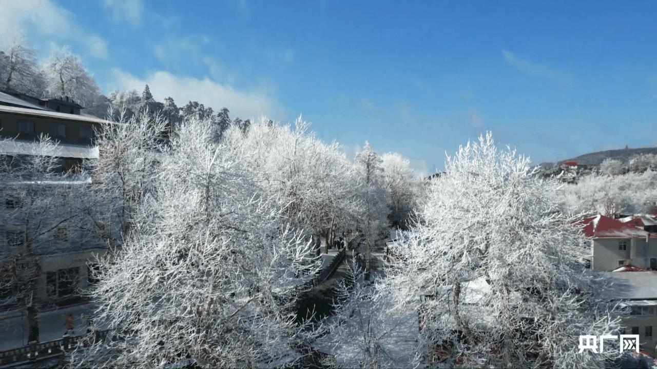 庐山的雾凇，如诗如画，美不胜收