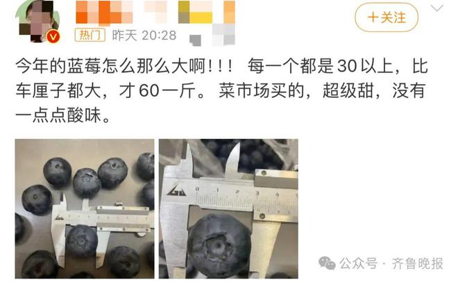 蓝莓降价风暴，售价暴跌近20%，你还等什么？