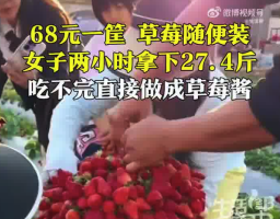 花68元装走30斤草莓，一场甜蜜的购物体验