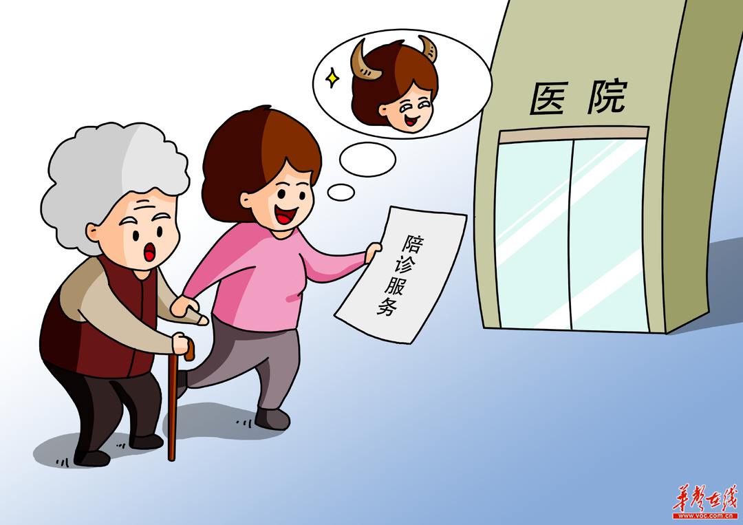 陪诊师亟须垫高门槛，专业与责任的呼唤