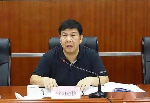 县长被书记架空，权力失衡下的治理困境与挑战