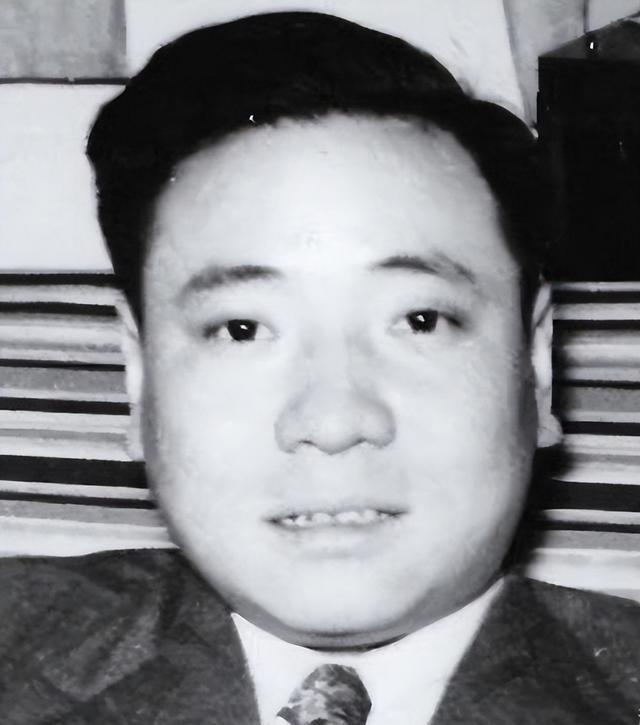 日本男子在白俄罗斯因间谍罪被判七年，深度解读与反思