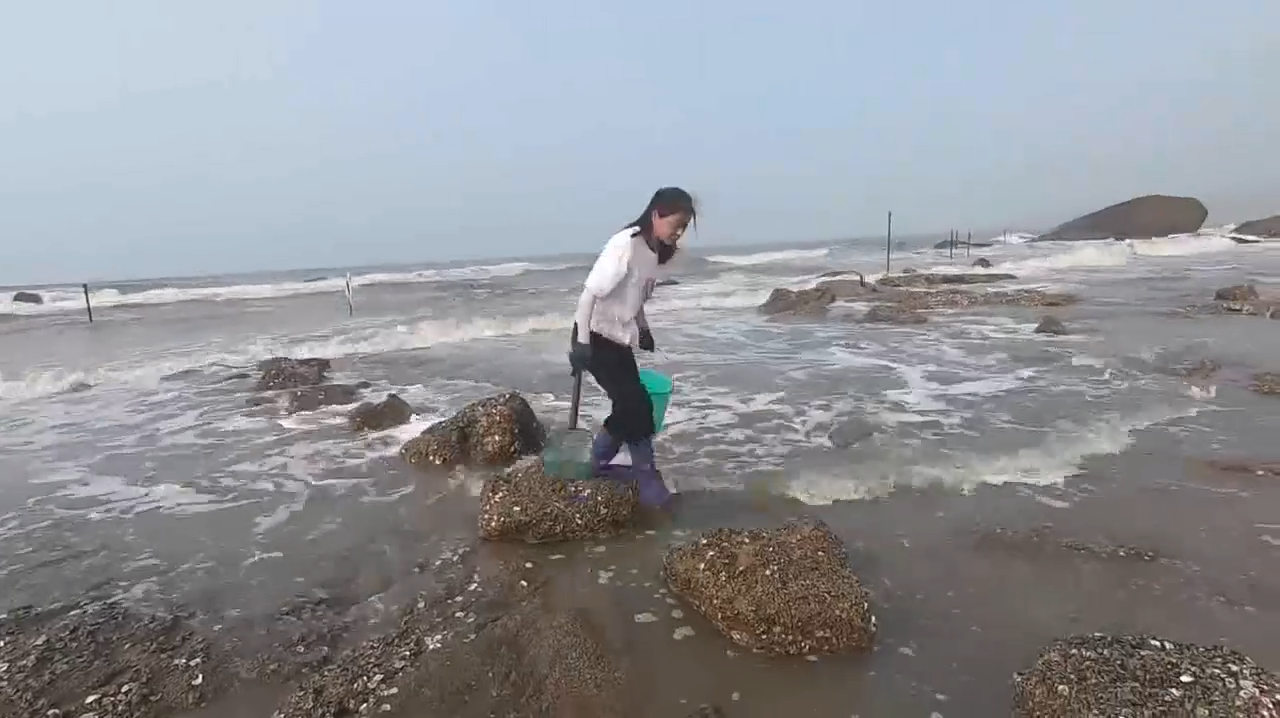 女生海边游玩徒手抓鱼的乐趣与挑战