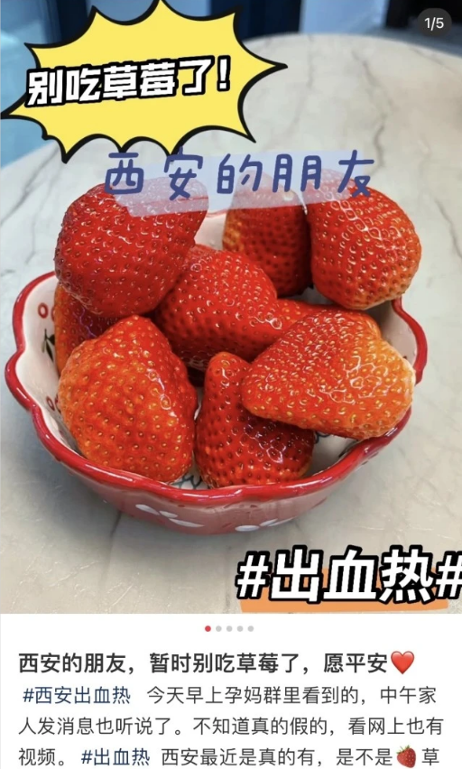 专家辟谣，吃草莓不会得草莓瘟——真相解析