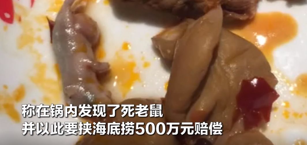 海底捞500万索赔案，背后的故事与争议焦点