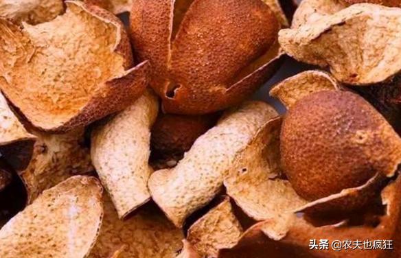 网上高价卖的发霉橘子有科研价值吗