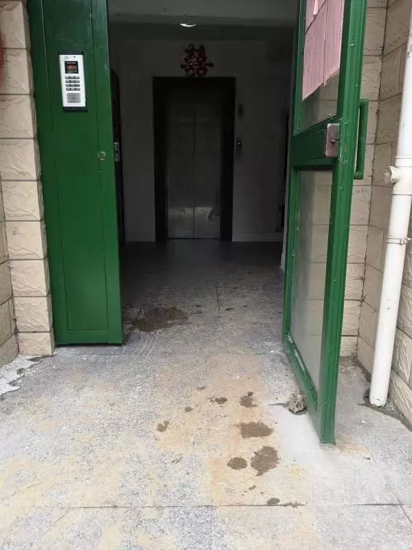小区电梯下坠事故，深度分析与反思