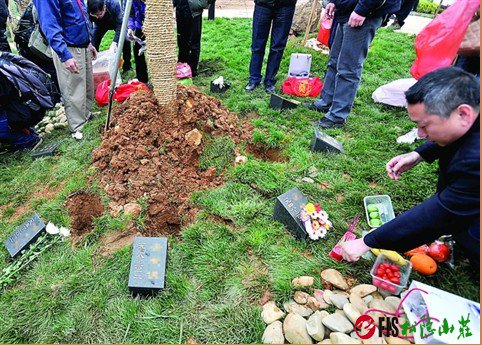 公墓把骨灰迁出后墓地归属权问题探究