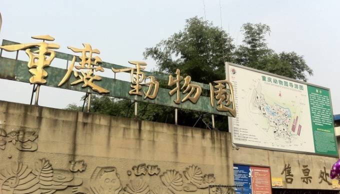 重庆动物园被指偏心，动物待遇引发争议