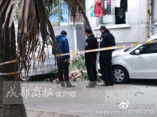 聚焦成都，快递员遭遇坠楼事件深度解析