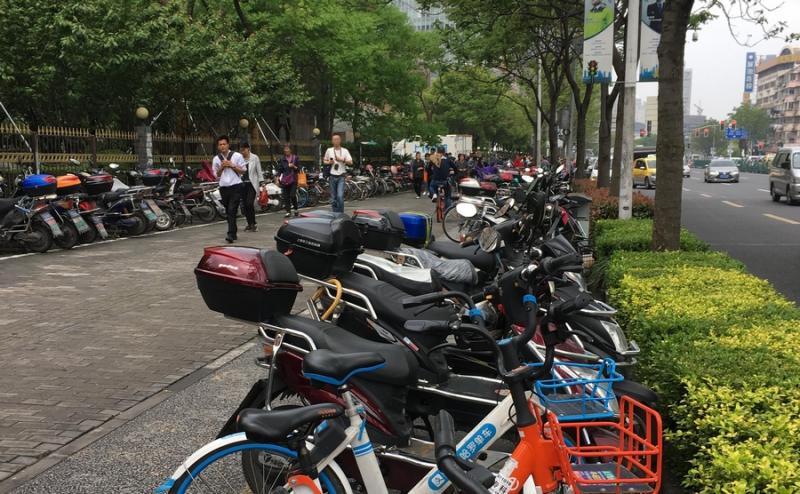 上海街头不走人行道的背后故事
