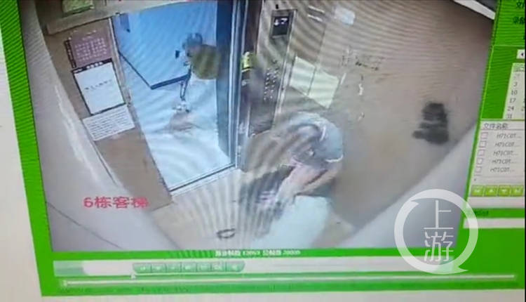 小区电梯内遭遇狗咬伤事件深度解析