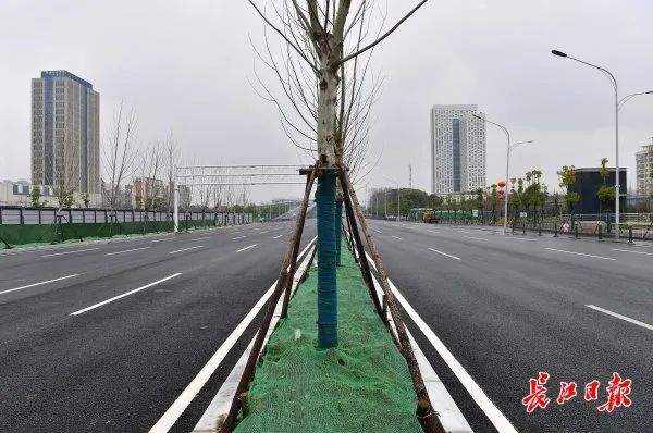地铁口装设17根杆，市民穿行如练功——一种新型交通疏导方式的观察与思考