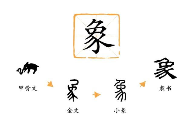 原来小动物就是行走的甲骨文