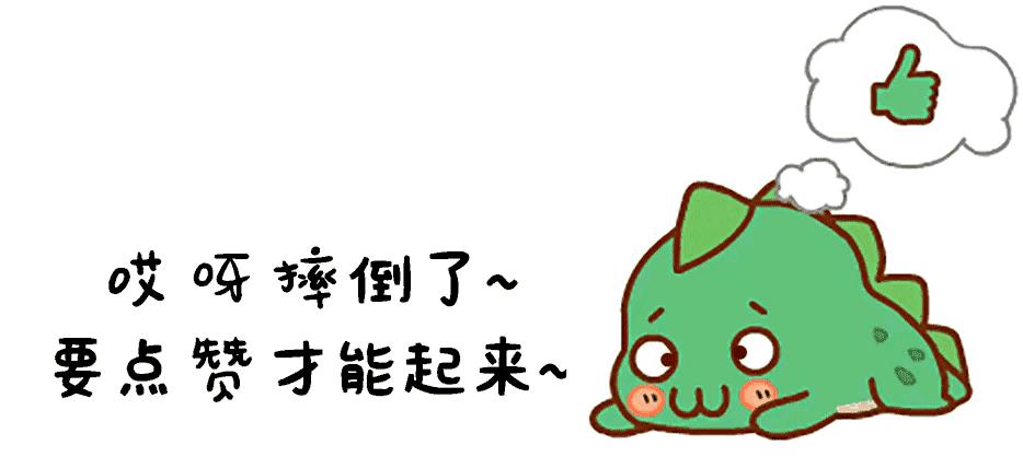 哈马斯组织，探究其背景、影响与争议
