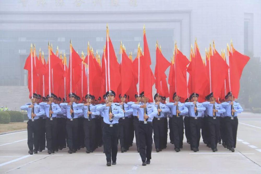 辅警替补，新力量的崛起与角色定位