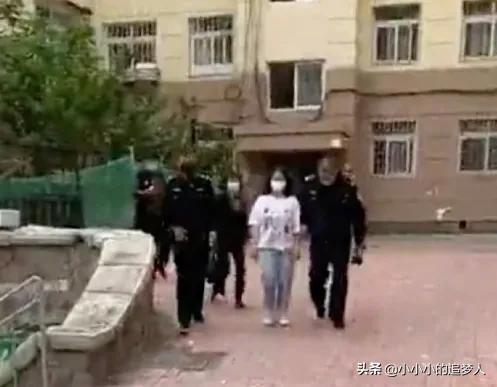 行李箱藏尸案，年轻生命的悲剧与深思
