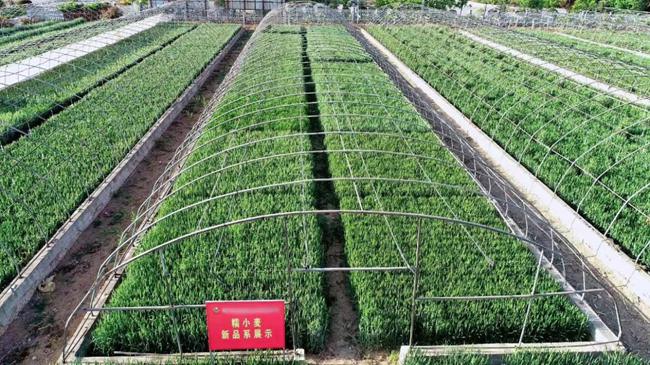 金融活水精准滴灌发展所需