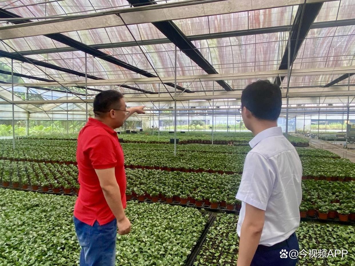 金融活水精准滴灌发展所需