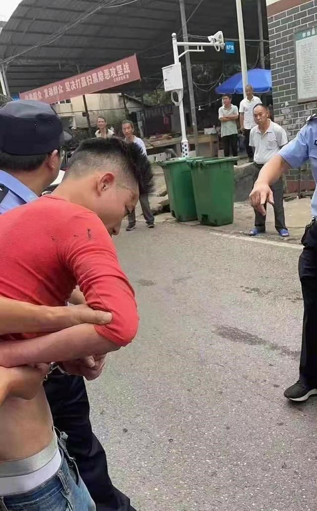 行李箱藏尸案告破，深度解析案件背后真相
