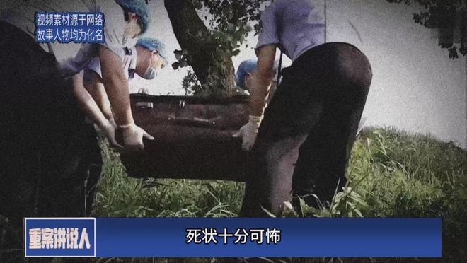 行李箱藏尸案告破，深度解析案件背后真相