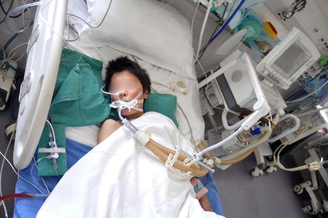 父亲病危儿子请假照顾被开除，职场与家庭的矛盾抉择