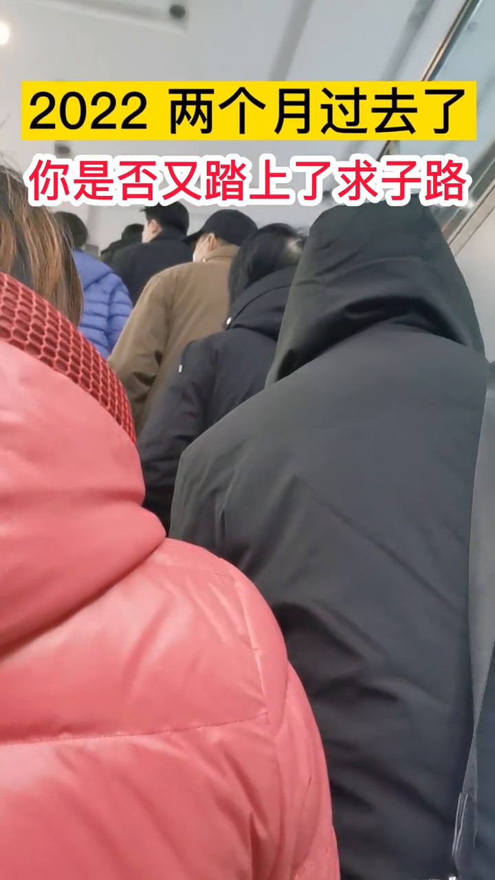 福宝助孕怎么样？全面解读助孕服务的前沿选择