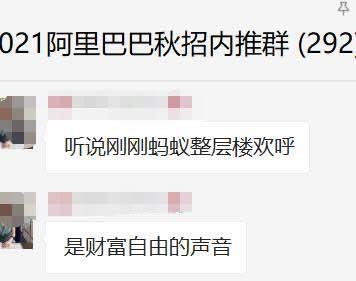蚂蚁集团招募书，探索数字生态的无限可能