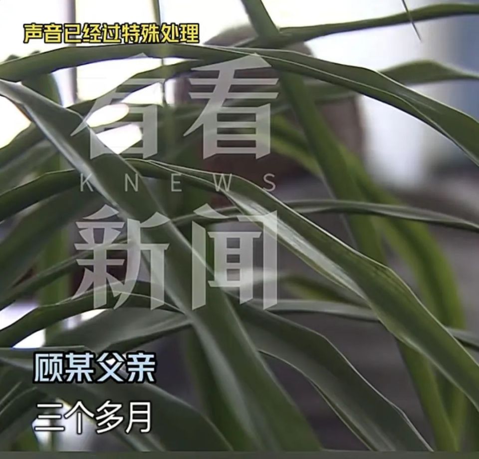 拆二代败光五套房，财富背后的故事启示