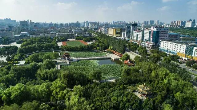 荒沙地变天然牧草地，农户未退耕获刑的背后故事