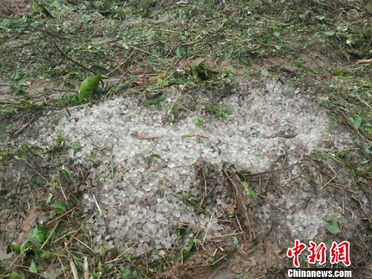四川遭遇冰雹袭击，居民惊恐腿发抖
