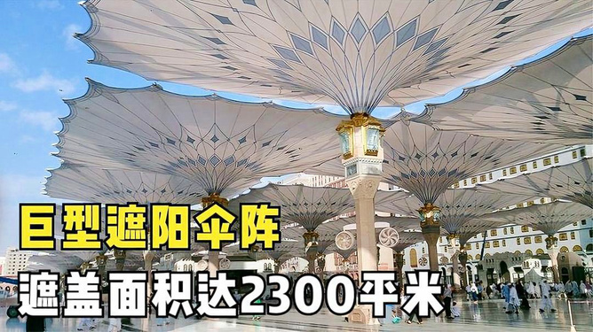 火宫殿200平遮阳伞，打造全新户外遮阳体验