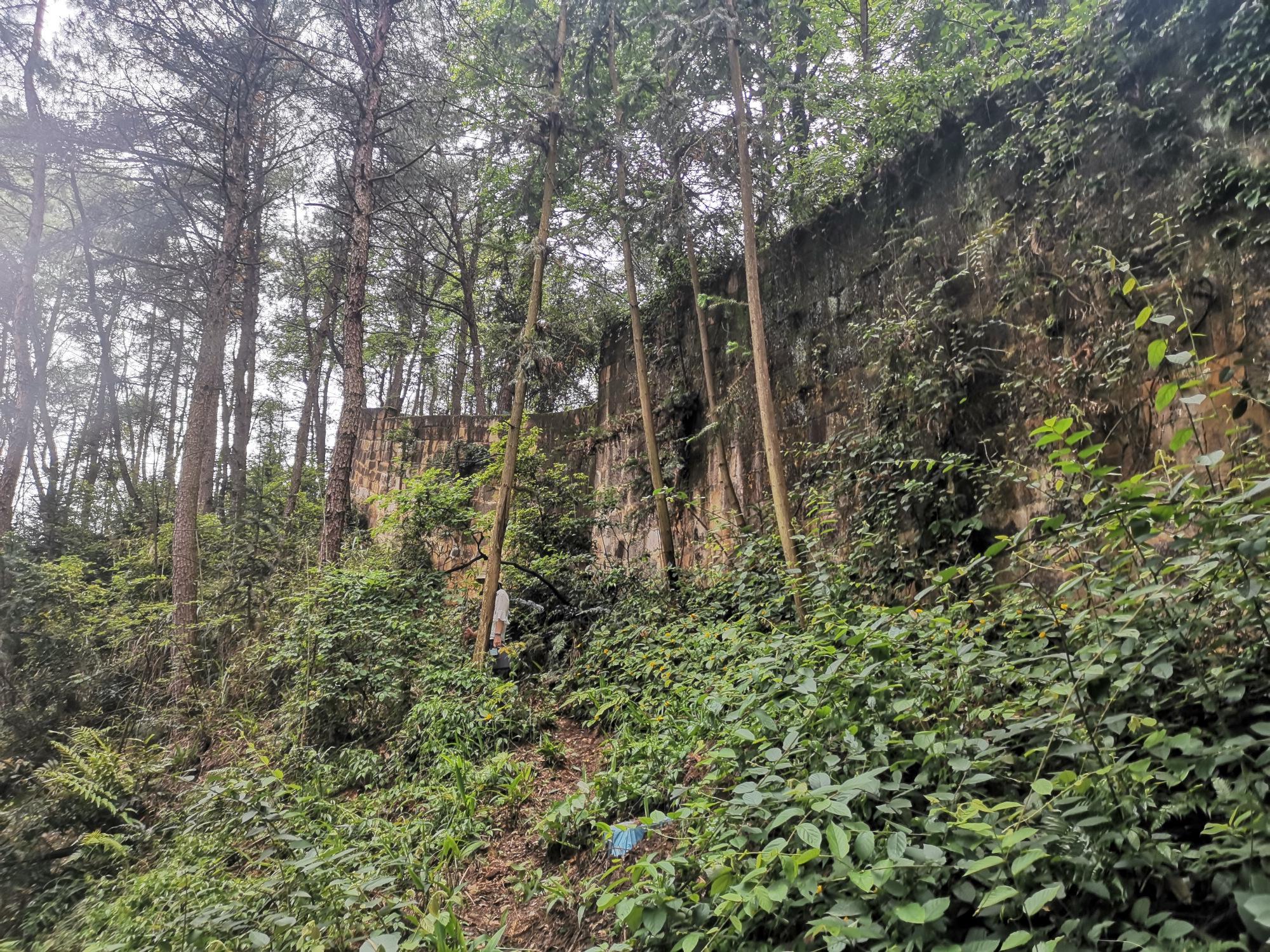 全世界游客都来重庆了