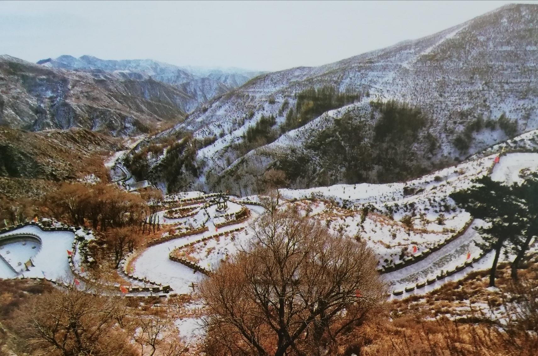 蒙古马独自跋涉300里回家的奇迹之旅