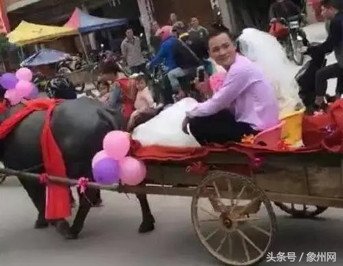新娘独特要求，拖拉机接亲，新郎开八辆震撼全场！