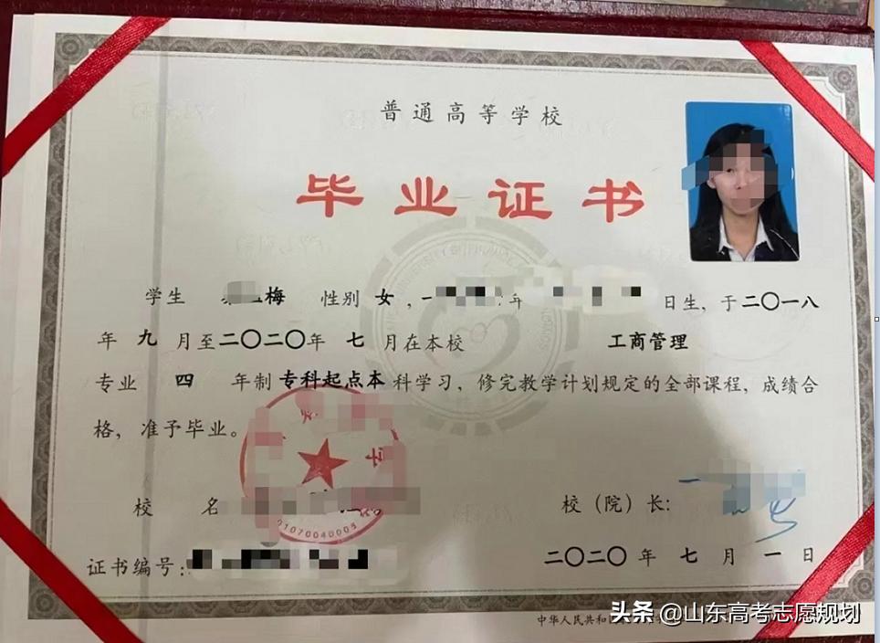一学院本升专引发热议，校方回应