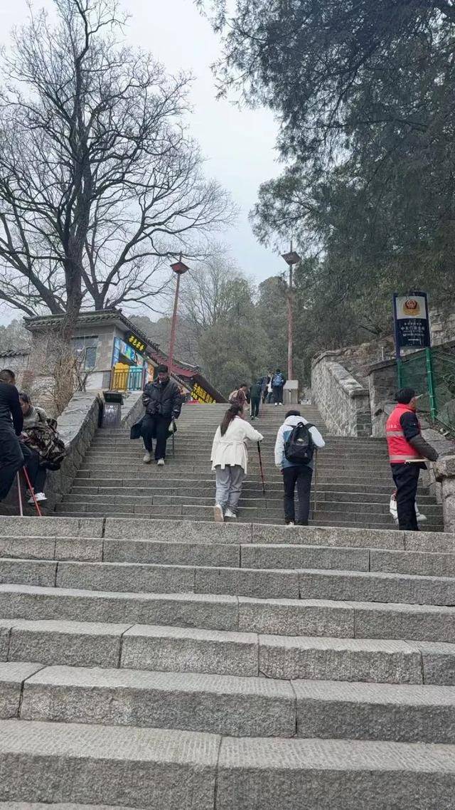 泰山陪爬小伙忙疯了也赚疯了