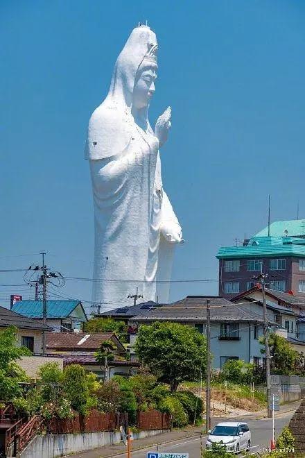 日本大米变成奢侈品，窃粮事件引发关注